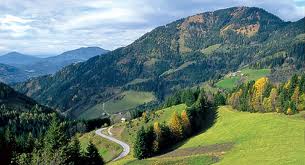 Erdők éve Ausztriában 