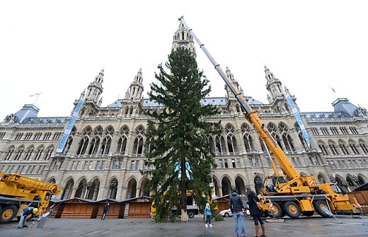 Bécsben már felállították a karácsonyfát