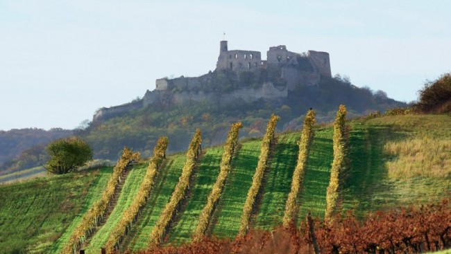 Weinviertel (c) Niederösterreich-Werbung